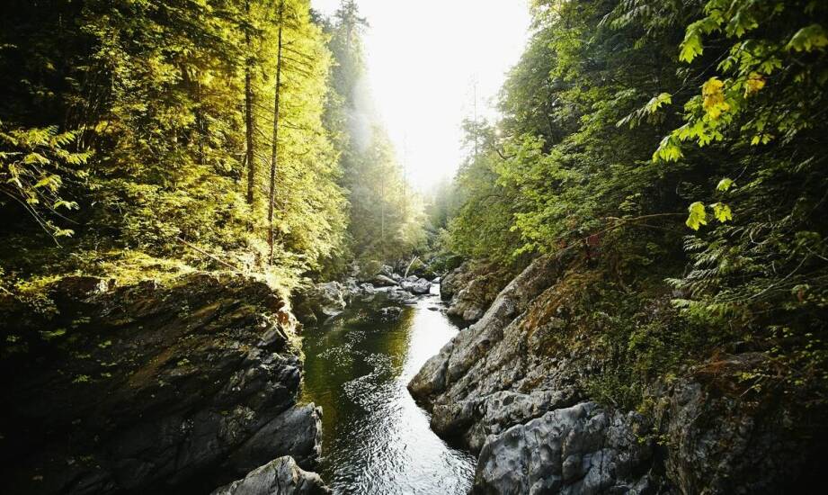 Spływy kilkudniowe z noclegiem – jak planujemy niezapomniane przygody na rzece?