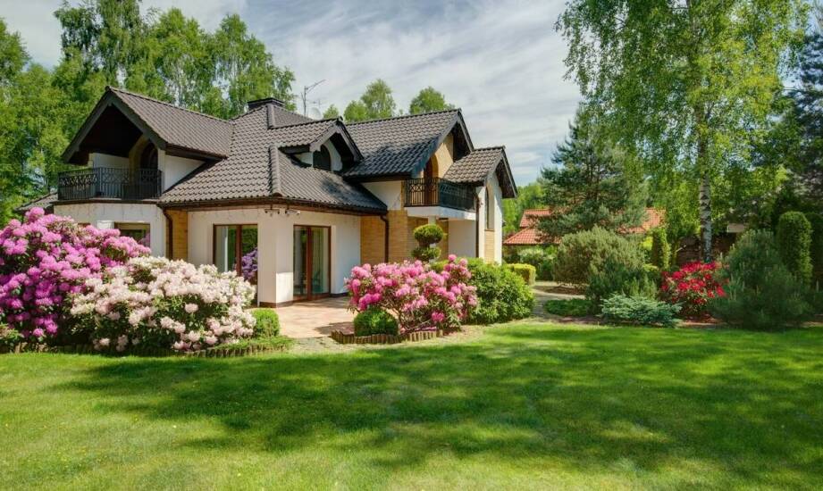 Krzewy kwitnące na biało w lipcu – jak dbać o ich długotrwałe kwitnienie?