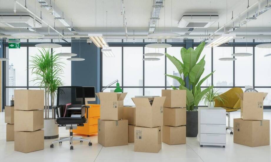 Jakie są najlepsze praktyki ochrony przed prusakami w miejscach pracy?