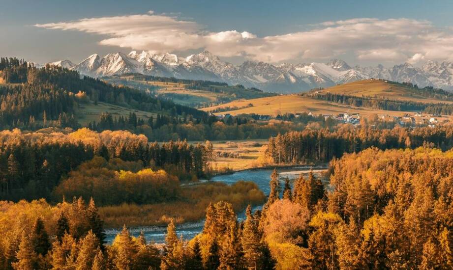 Rola mis tybetańskich w procesie wzmacniania sił samo uzdrawiających