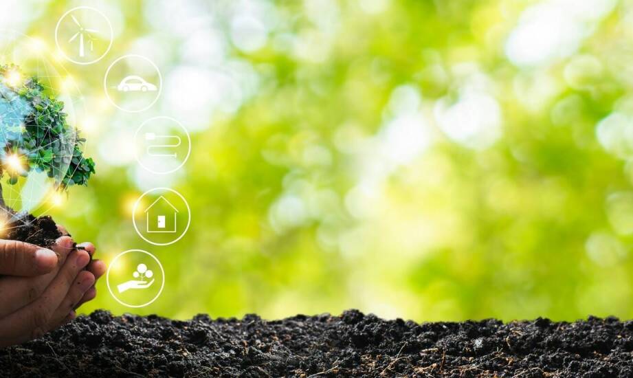 Dlaczego warto wybierać ekologiczne plandeki na zabudowy ciężarowe?