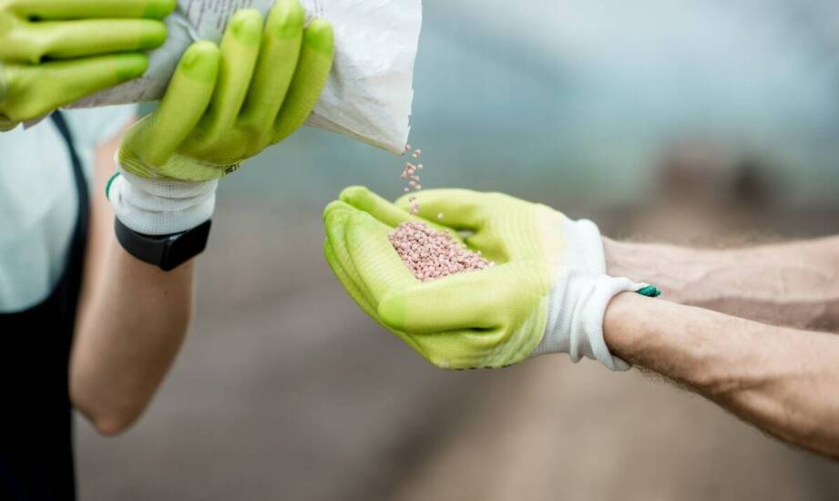 Rola stabilizatorów kształtu w przechowywaniu nawozów azotowych w Big Bagach