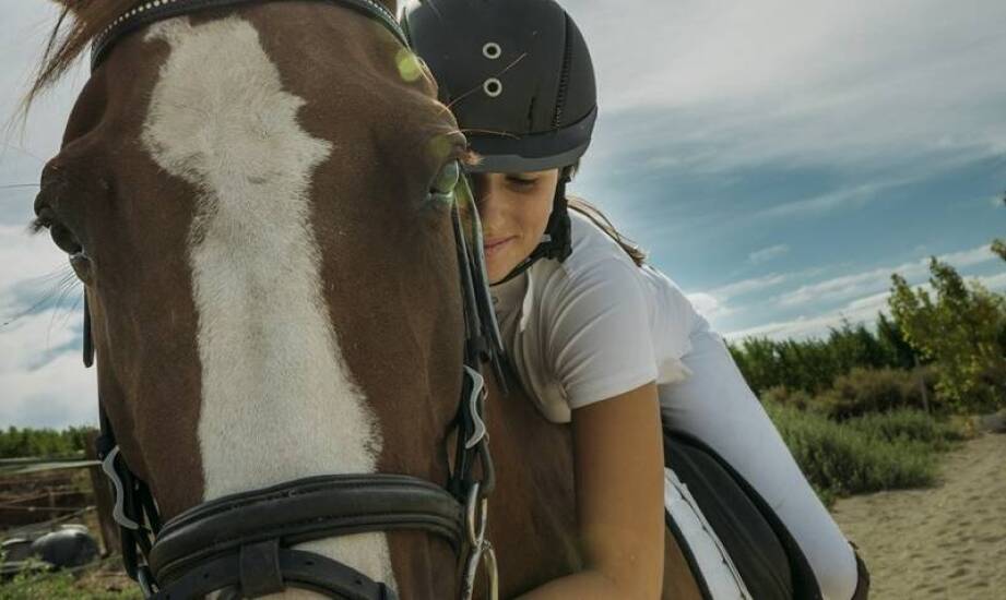 Jak wynajem zestawu może pomóc Twojemu koniowi?