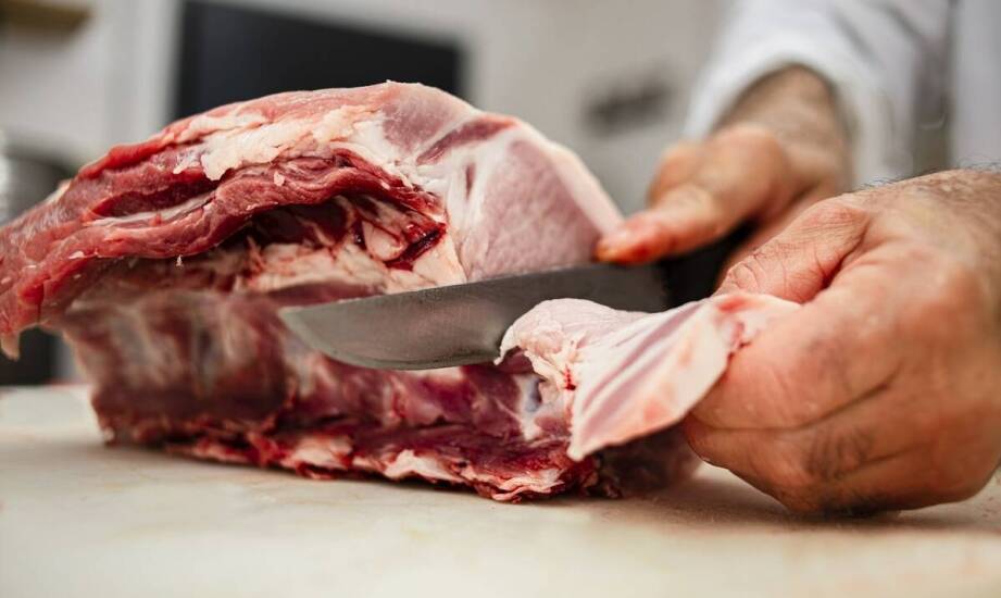 Jak właściwe użycie sprzętu wpływa na skuteczność zapobiegania salmonelli?