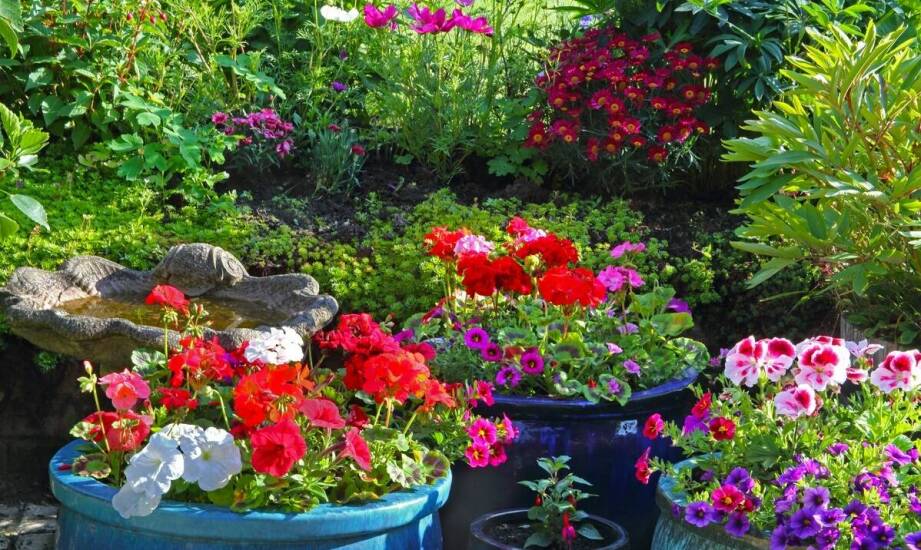 Jak dobrać odpowiednie akcesoria do lamp solarnych dla Twojego ogrodu?