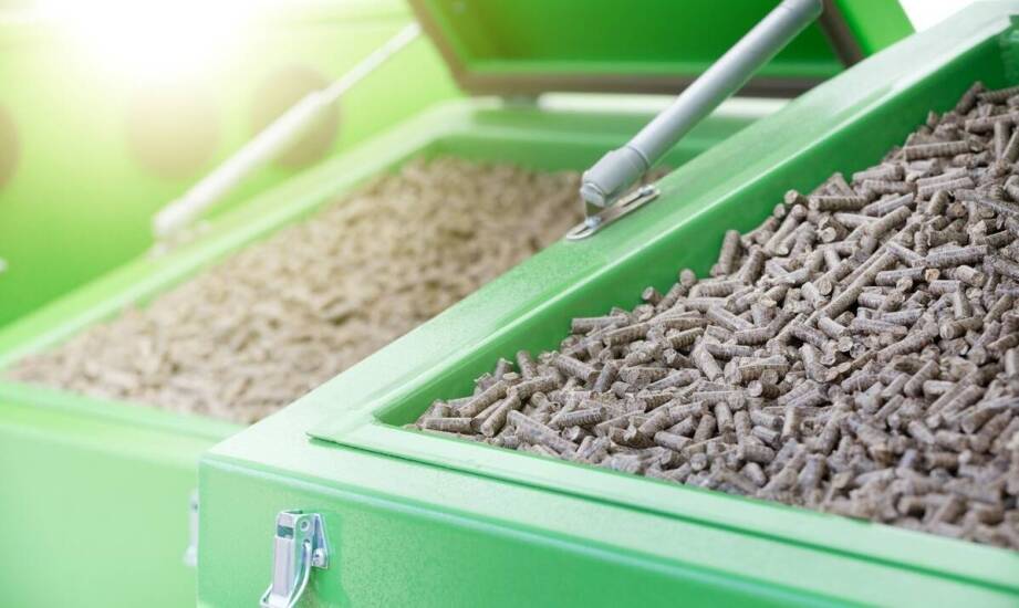 Innowacyjne rozwiązania w produkcji pasz dla kur niosek