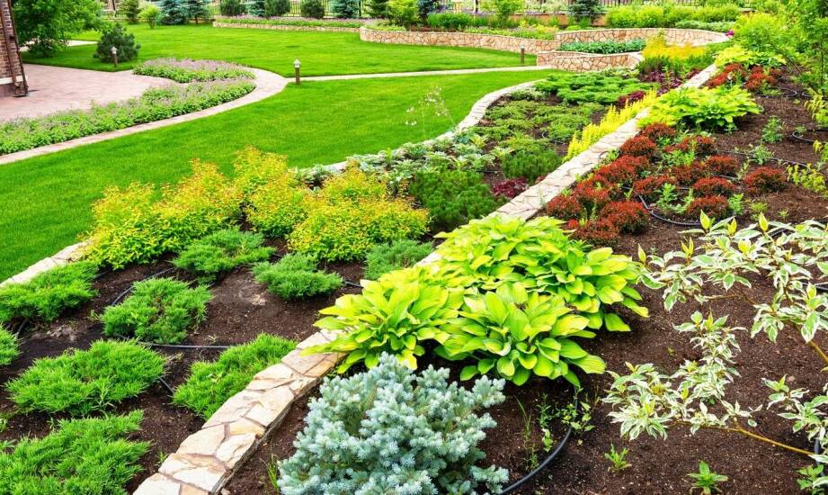 Wpływ mulczu celulozowego na efektywność kosztową projektów zieleni