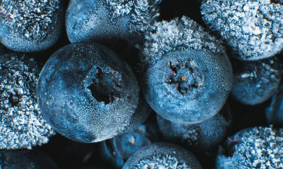 Liofilizacja a tradycyjne metody suszenia – które rozwiązanie jest lepsze?