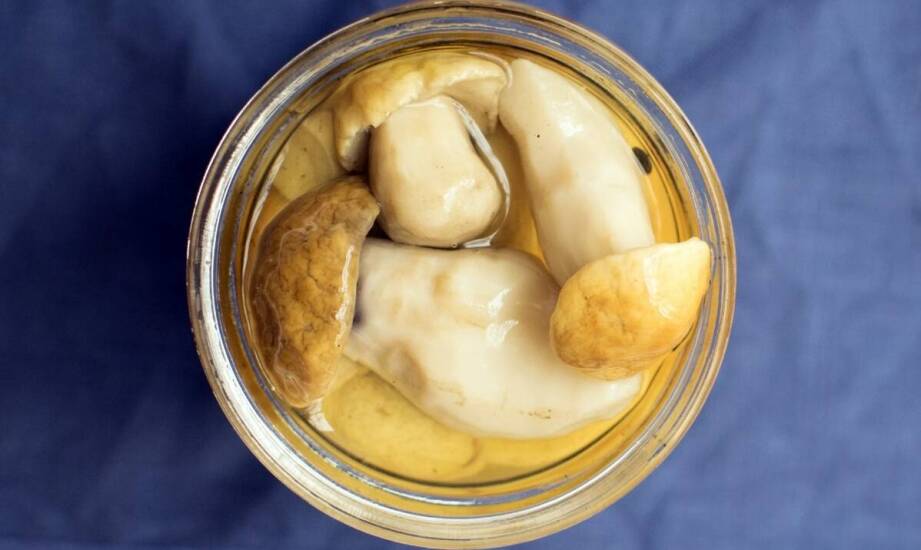 Jakie napoje najlepiej komponują się z borowikami marynowanymi?