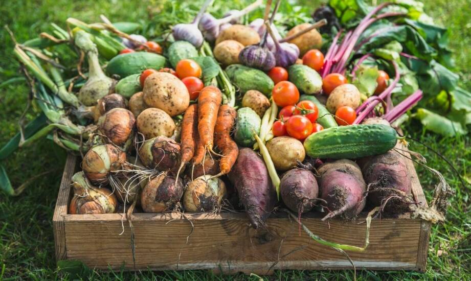 Korzyści z lokalnych owoców i warzyw – dlaczego warto je wybierać?