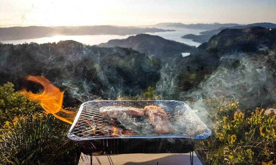 Grill elektryczny do ogrodu jako ekologiczna alternatywa dla tradycyjnych grilli