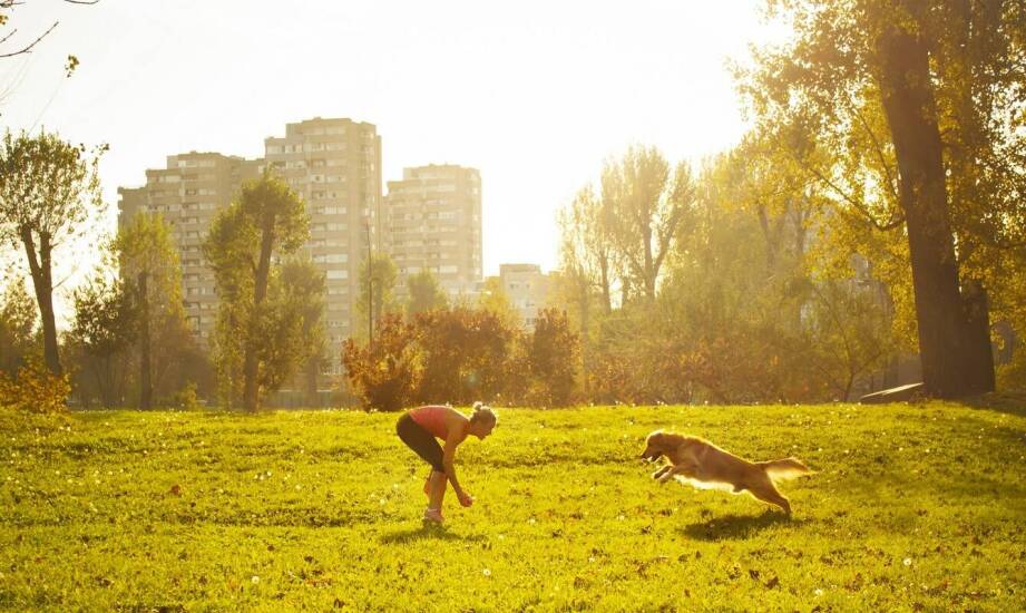 Jak karma Eden wspomaga aktywność fizyczną psów ras małych?