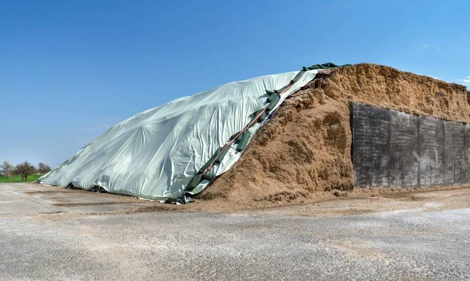 Jak magazyny zbożowe płaskie wspierają zarządzanie zapasami w gospodarstwie?