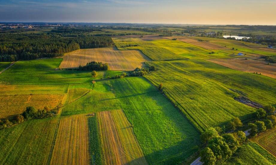 Jak technologie drenażowe przyczyniają się do ochrony zasobów wodnych?