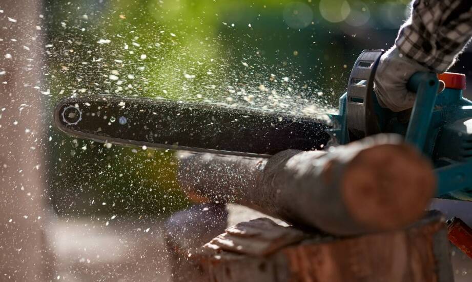 Proces zakupu lub wynajmu piły spalinowej do cięcia desek – co warto wiedzieć?