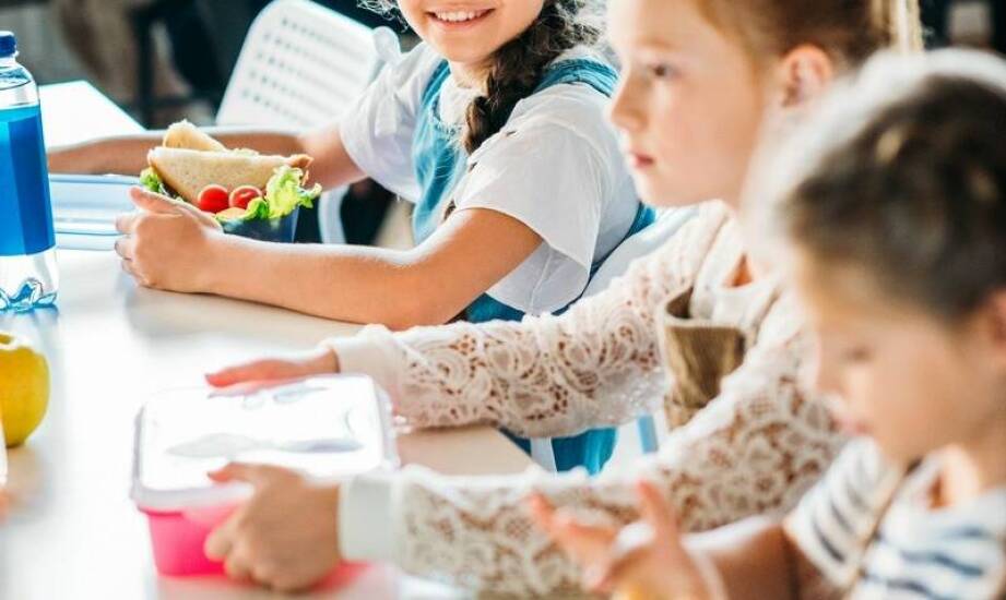 Catering w szkołach – znaczenie zdrowego żywienia dla uczniów