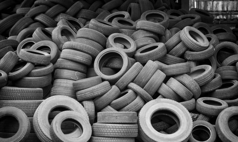 Jak przebiega odbiór karkasów i jakie znaczenie ma ich prawidłowa segregacja