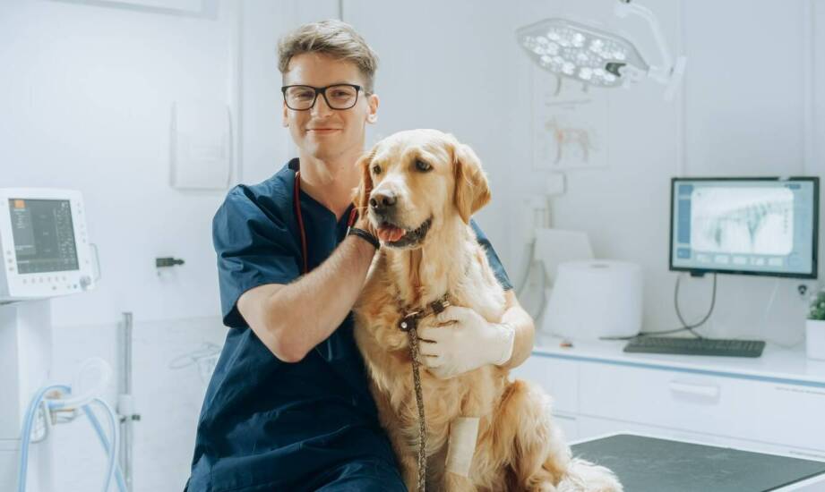 Dermatologia psów – najczęstsze schorzenia skóry i metody leczenia