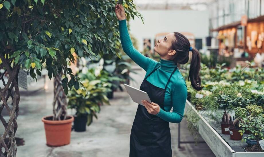 Tradycja i smaki – historia oraz sekrety polskich zakładów wędliniarskich
