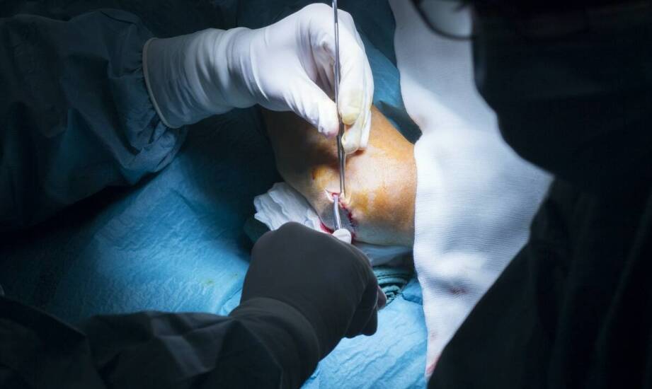 Balsamacja ciała – cel, etapy oraz istotne aspekty pośmiertnej konserwacji