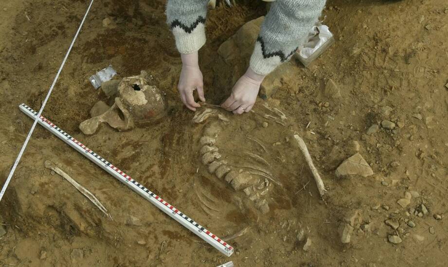 Ekshumacja zwłok – procedura, formalności i najważniejsze informacje