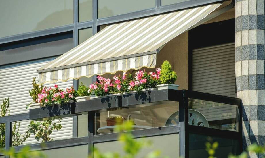 Jakie rośliny dekoracyjne wybrać, aby zwiększyć prywatność na balkonie?