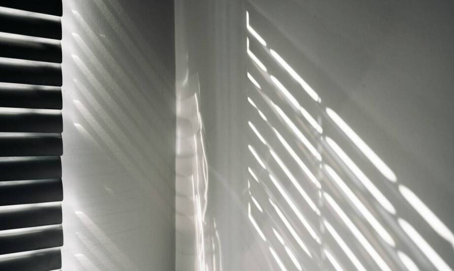 Softboxy a fotografia czarno-biała – jak uzyskać pożądane efekty świetlne?