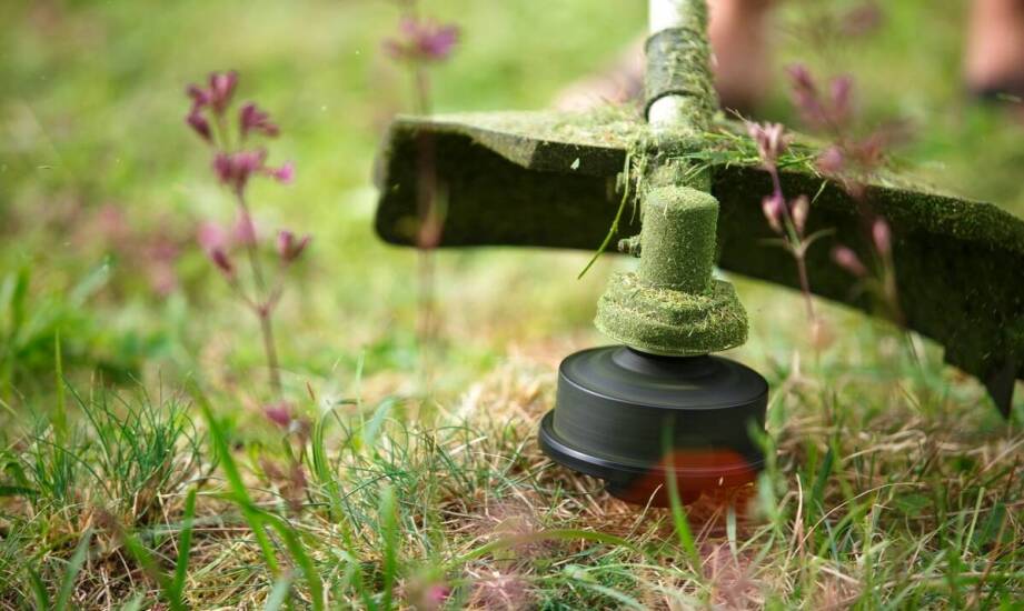 Smarowanie prowadnicy Stihl – jakie są korzyści z regularnej konserwacji?