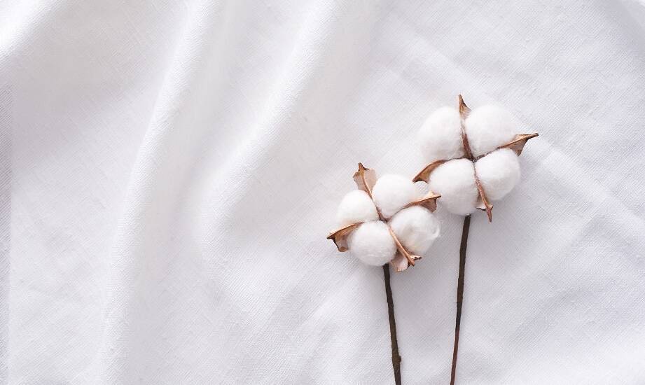 Jakie są innowacyjne zastosowania czyściwa bawełnianego w różnorodnych sektorach?