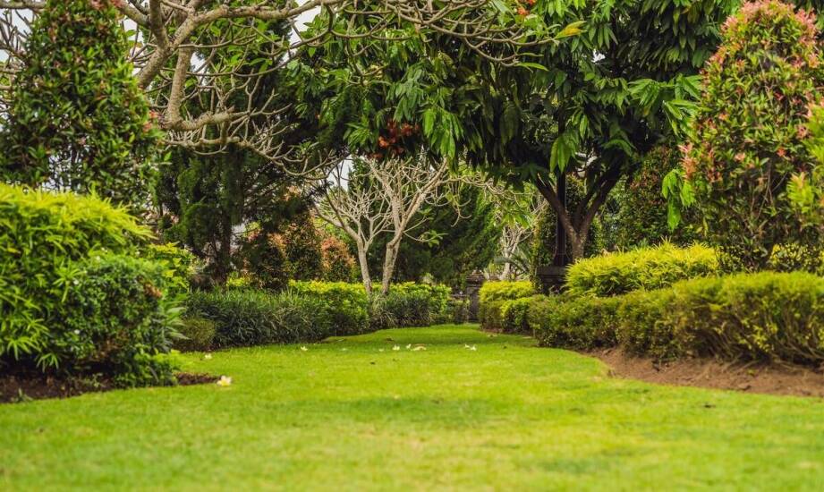 Wpływ oprysku na pędraki w trawie na jakość gleby