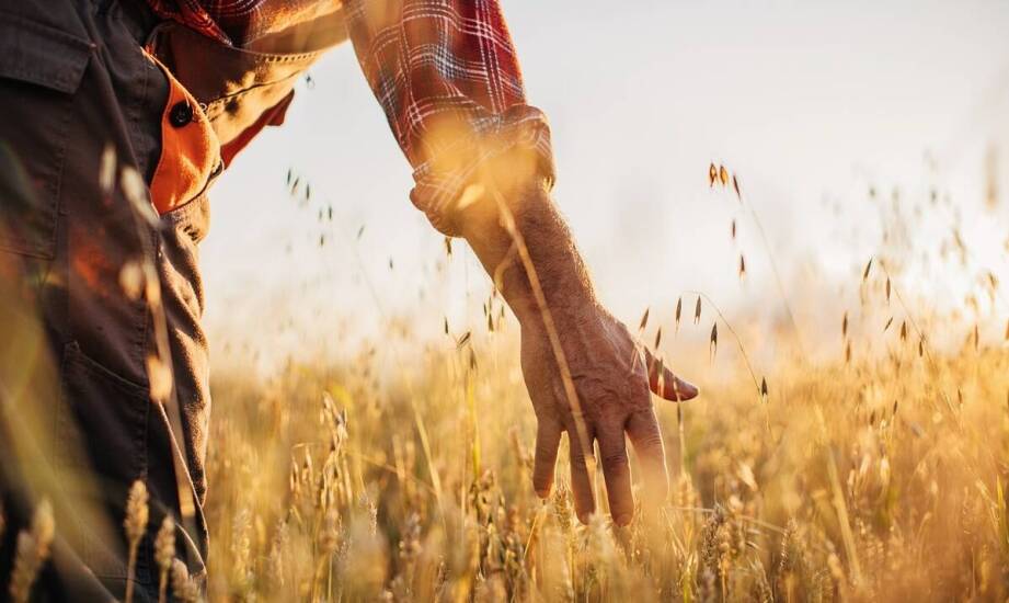 Poradnik: jak przygotować się do sezonu oprysków na gryke?