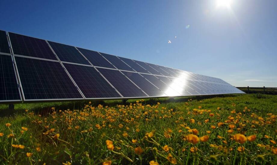 Ogniwa fotowoltaiczne – budowa, działanie i możliwości wykorzystania energii