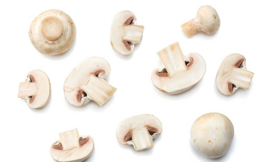 Rodzaje śrub i ich zastosowanie w codziennych pracach montażowych