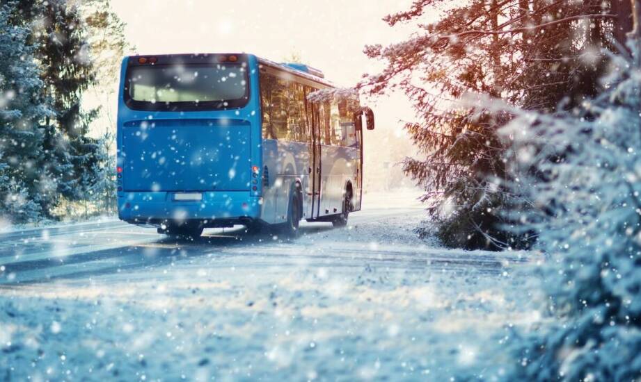 Jak wybrać idealny bus na wynajem – najważniejsze wskazówki i porady