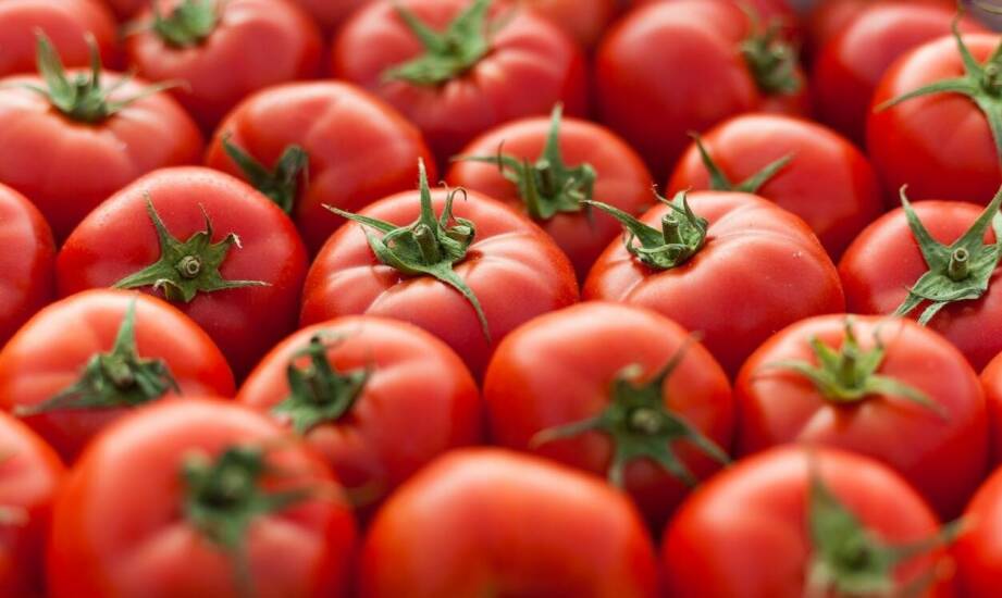 Terapia Tomatisa – jak wspiera rozwój i poprawia funkcjonowanie dzieci