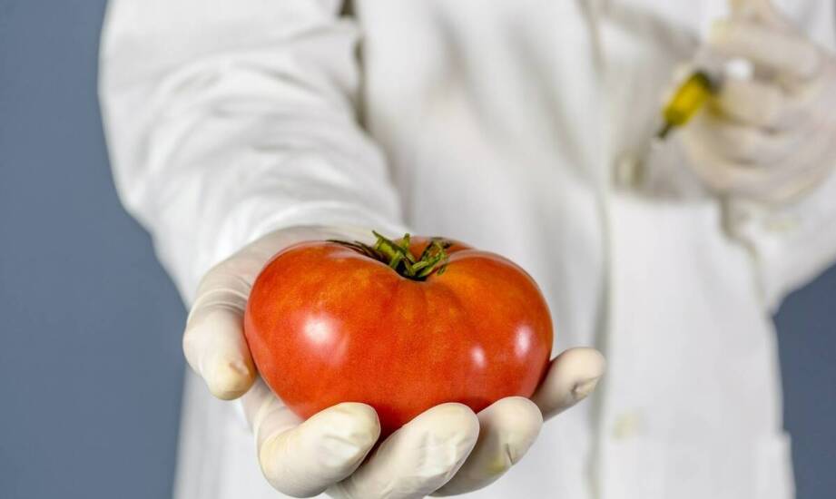 Metoda Tomatisa – jak działa trening słuchowy i komu może pomóc?