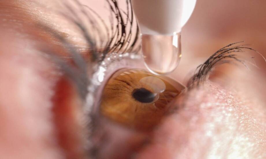 Okulistyka weterynaryjna - na czym polega?