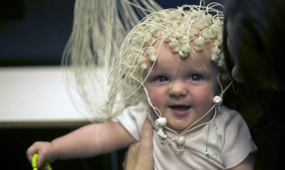 Na czym polega neurologia i jakie schorzenia diagnozuje neurolog?