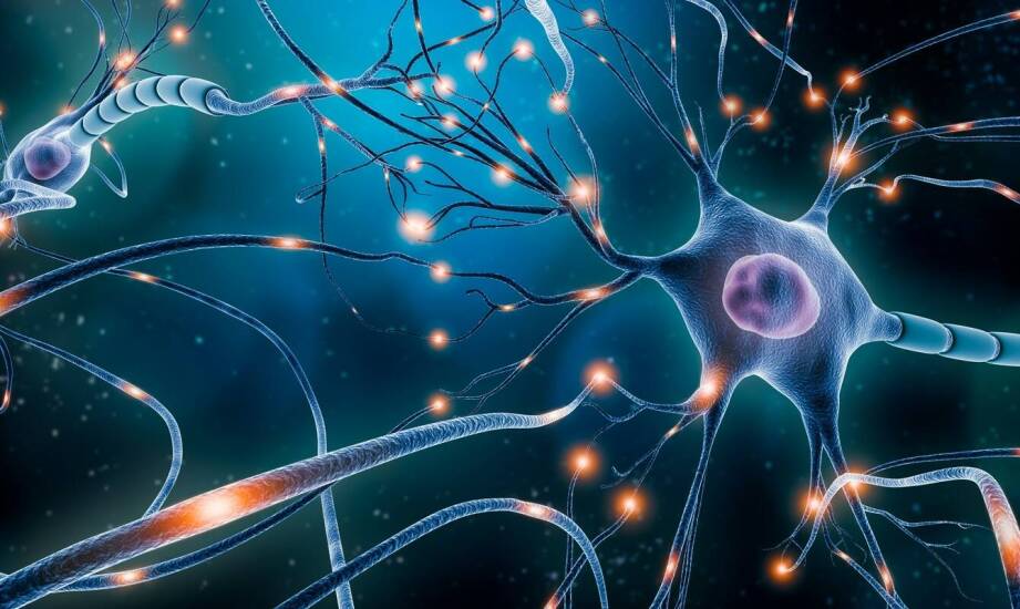 Choroby zwyrodnieniowe układu nerwowego – objawy, przyczyny i leczenie