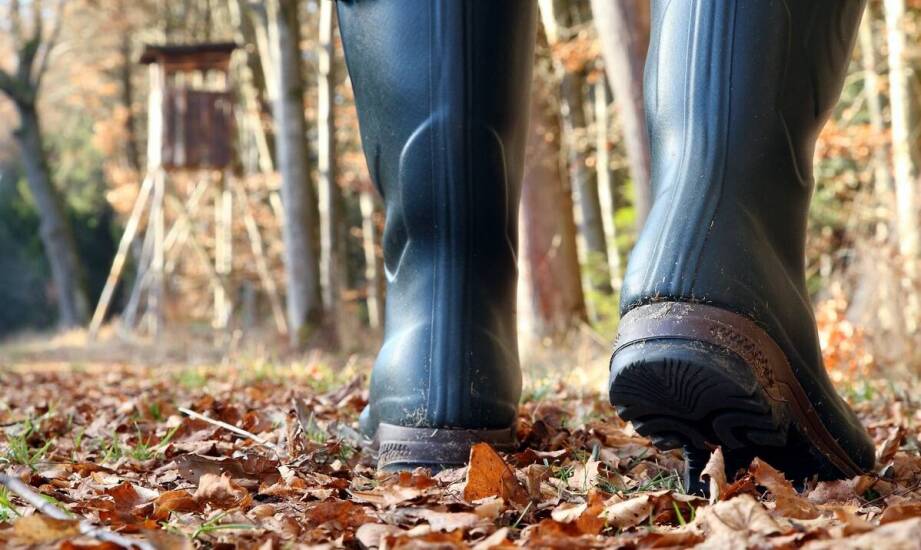 Zamszowe buty damskie ocieplane – modne fasony i praktyczne rozwiązania