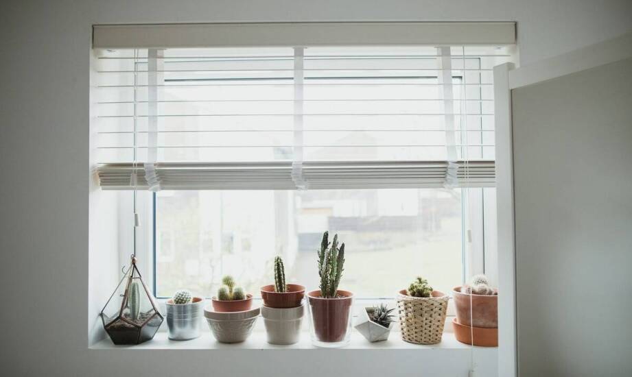 Stojaki do okien – jak wybrać rozwiązanie dopasowane do potrzeb