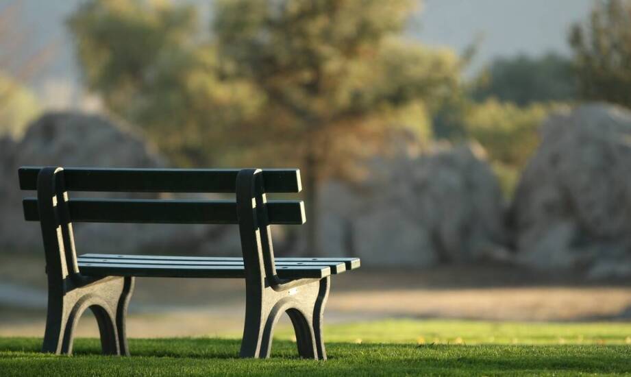 Ławki z oparciem – komfortowy wybór do ogrodu, parku i na taras