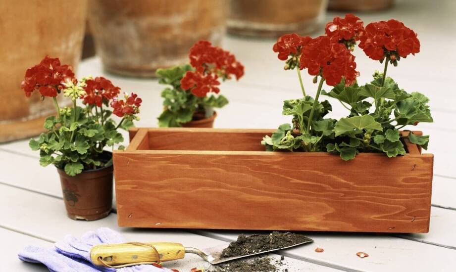 Donice prostokątne – inspiracje i praktyczne zastosowania w aranżacji przestrzeni