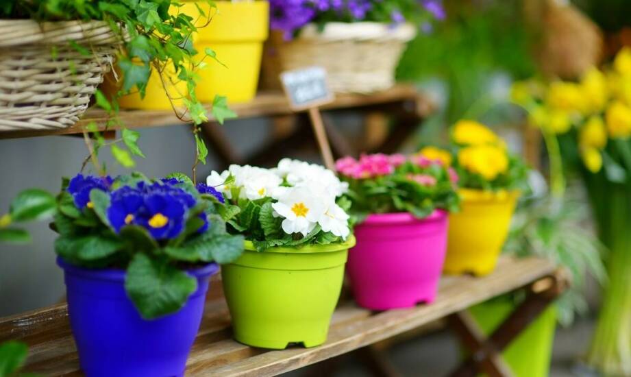 Jak wybrać kwadratowe donice? Przegląd materiałów i zastosowań