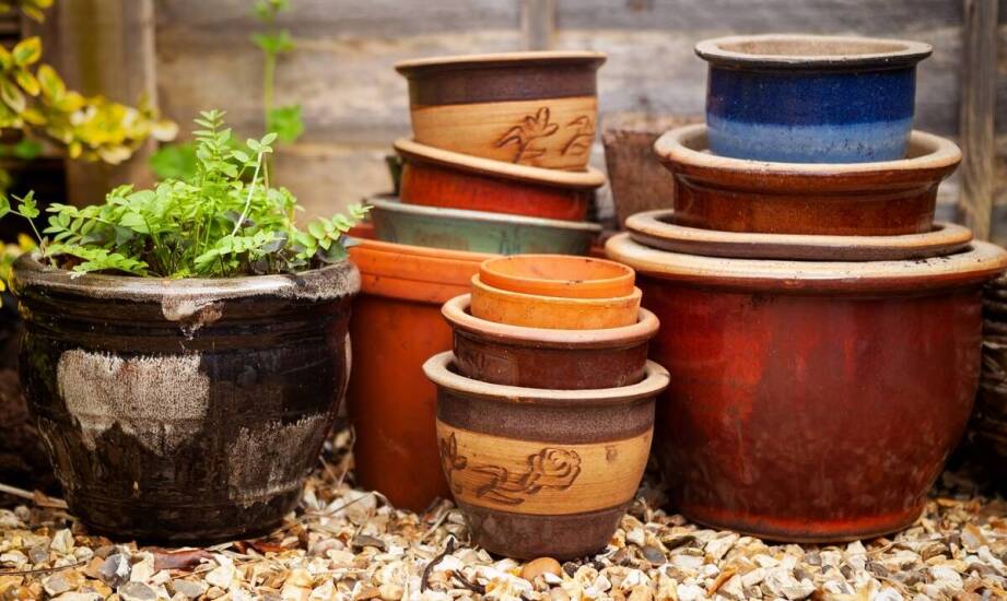 Donice owalne – jak wybrać najlepszy kształt do aranżacji ogrodu i domu