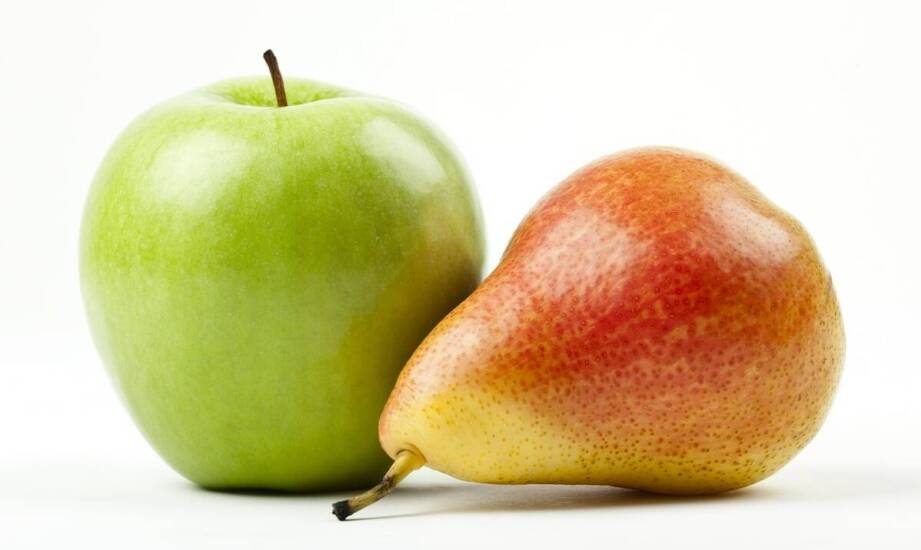 Grusza Konferencja – najważniejsze informacje o popularnej odmianie gruszy