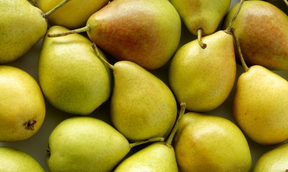 Najważniejsze informacje o gruszy i jej roli na branżowych konferencjach