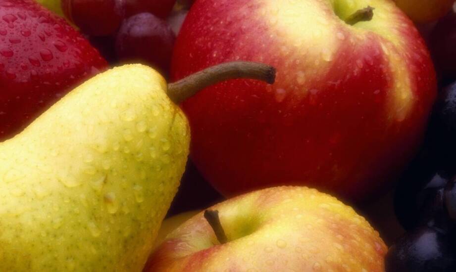 Jabłoń Reneta – historia, odmiany, zastosowanie i pielęgnacja w ogrodzie