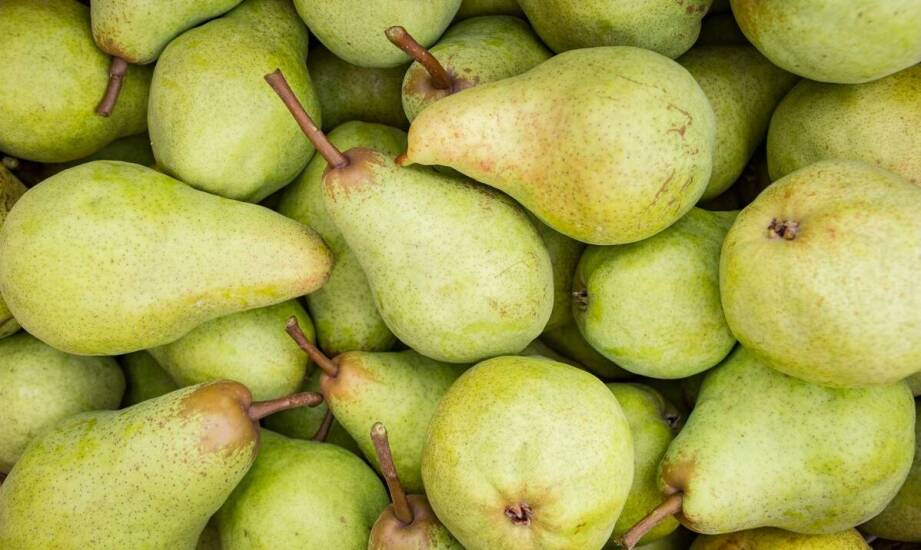 Pigwa gruszkowa – pochodzenie, właściwości i ciekawe fakty o owocu