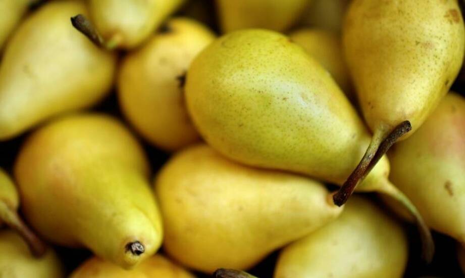 Pigwa gruszkowa – właściwości, zastosowanie i inspiracje kulinarne